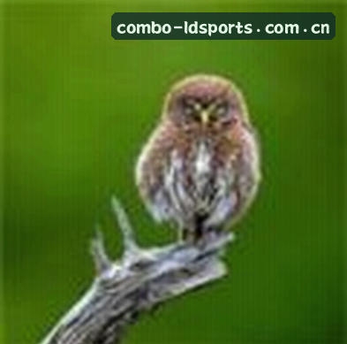 马丽
